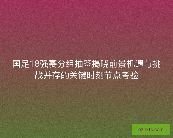 国足18强赛分组抽签揭晓前景机遇与挑战并存的关键时刻节点考验